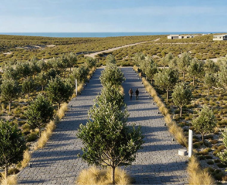 Experiencia Olivar — La Providencia Patagonia
